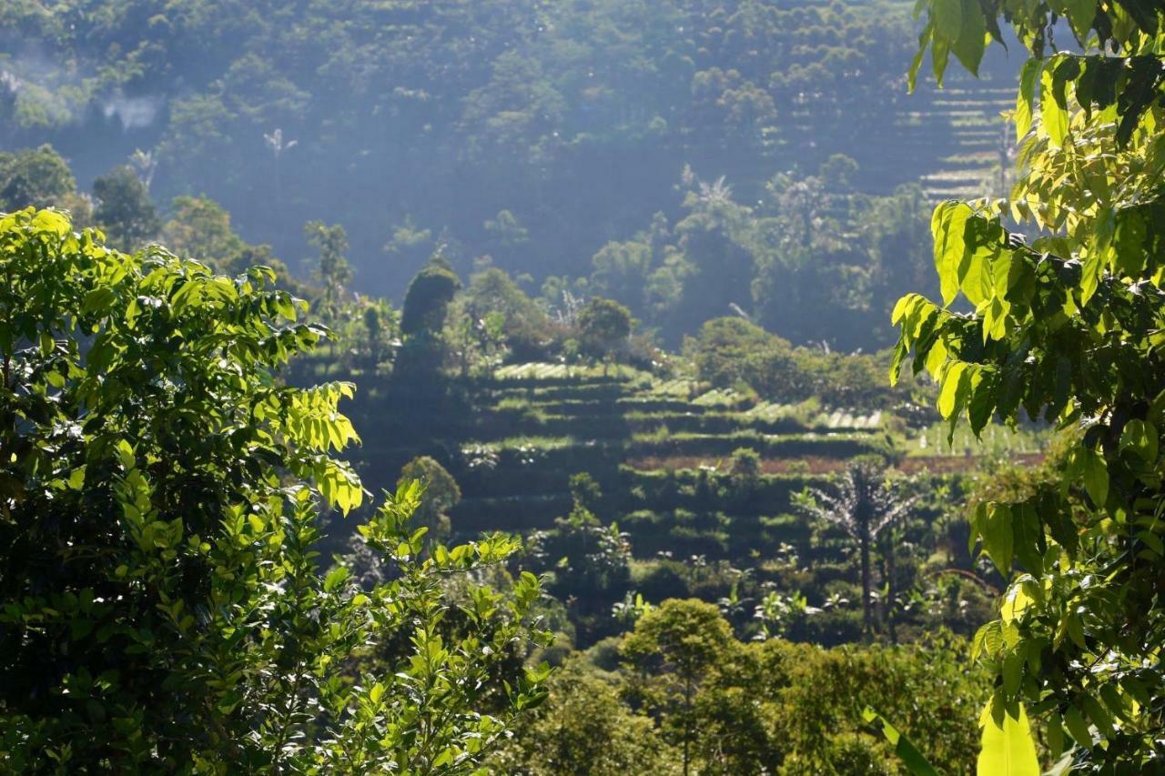 Pondok Plantation Luxury Mountain Escape Bedugul Bedugul  Extérieur photo