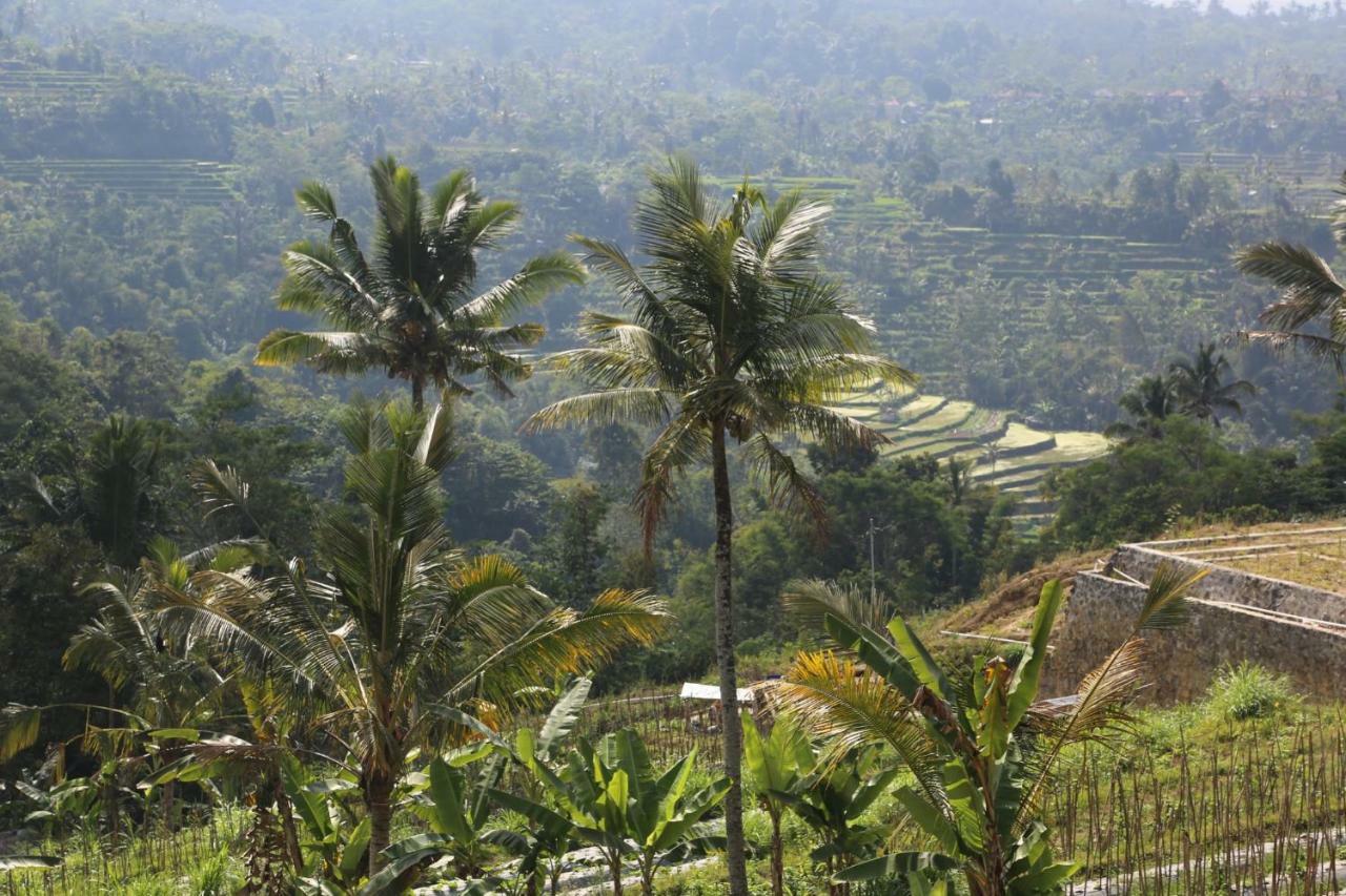 Pondok Plantation Luxury Mountain Escape Bedugul Bedugul  Extérieur photo