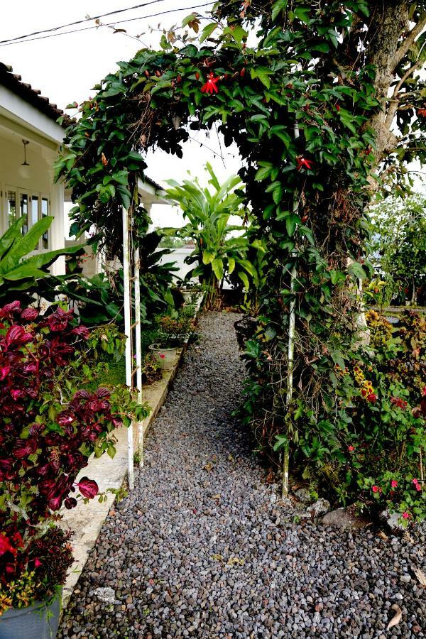 Pondok Plantation Luxury Mountain Escape Bedugul Bedugul  Extérieur photo