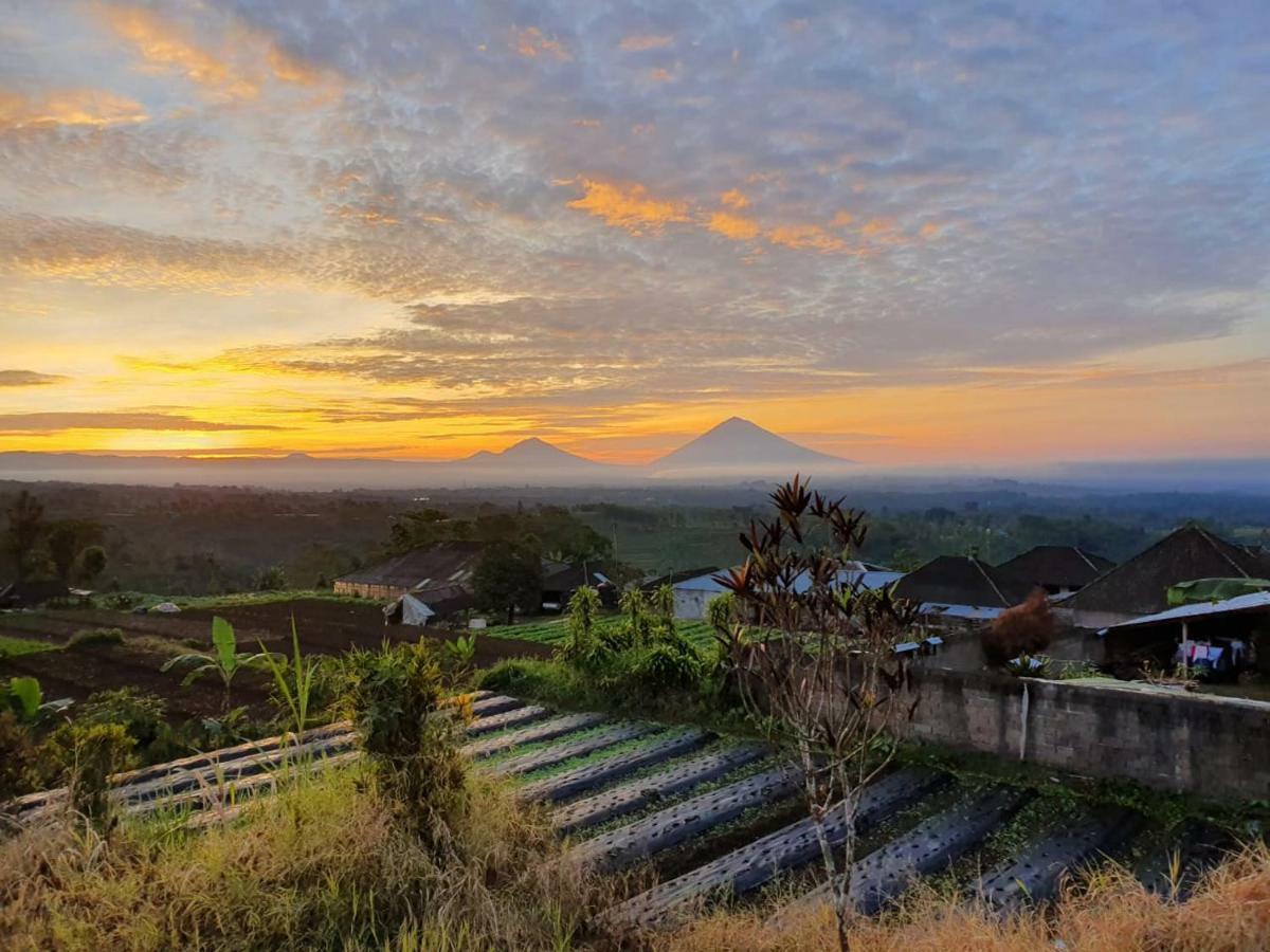 Pondok Plantation Luxury Mountain Escape Bedugul Bedugul  Extérieur photo