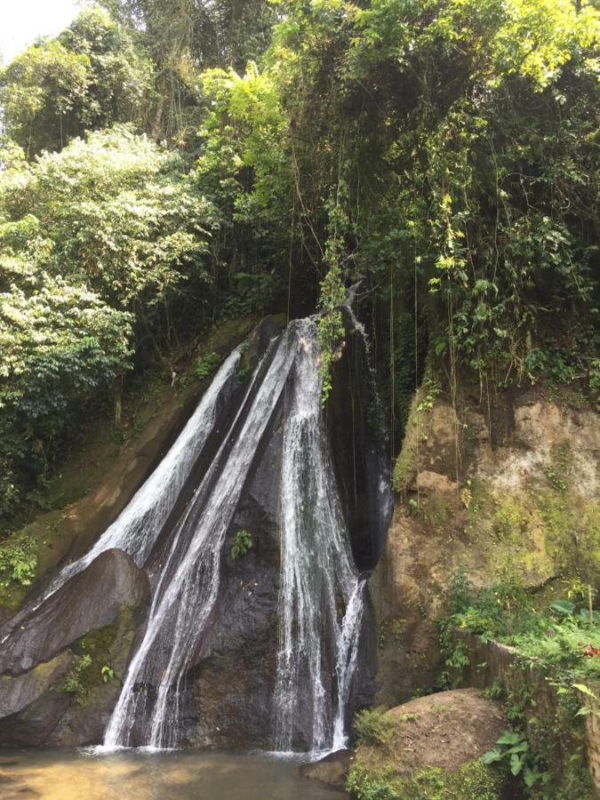 Pondok Plantation Luxury Mountain Escape Bedugul Bedugul  Extérieur photo