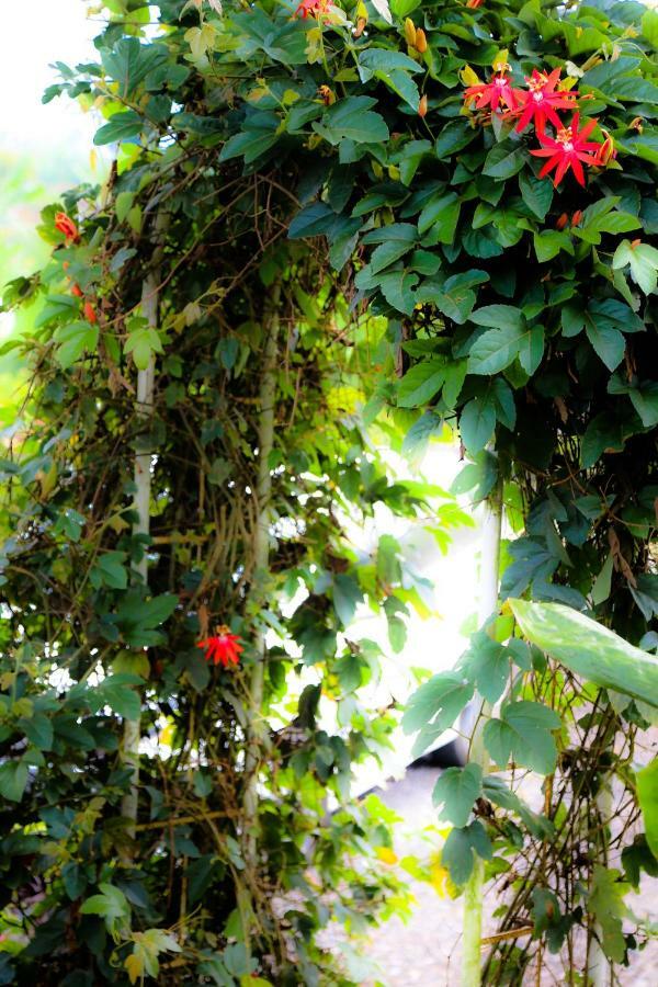 Pondok Plantation Luxury Mountain Escape Bedugul Bedugul  Extérieur photo