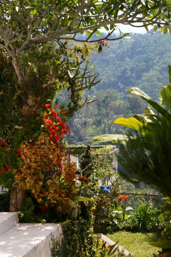 Pondok Plantation Luxury Mountain Escape Bedugul Bedugul  Extérieur photo