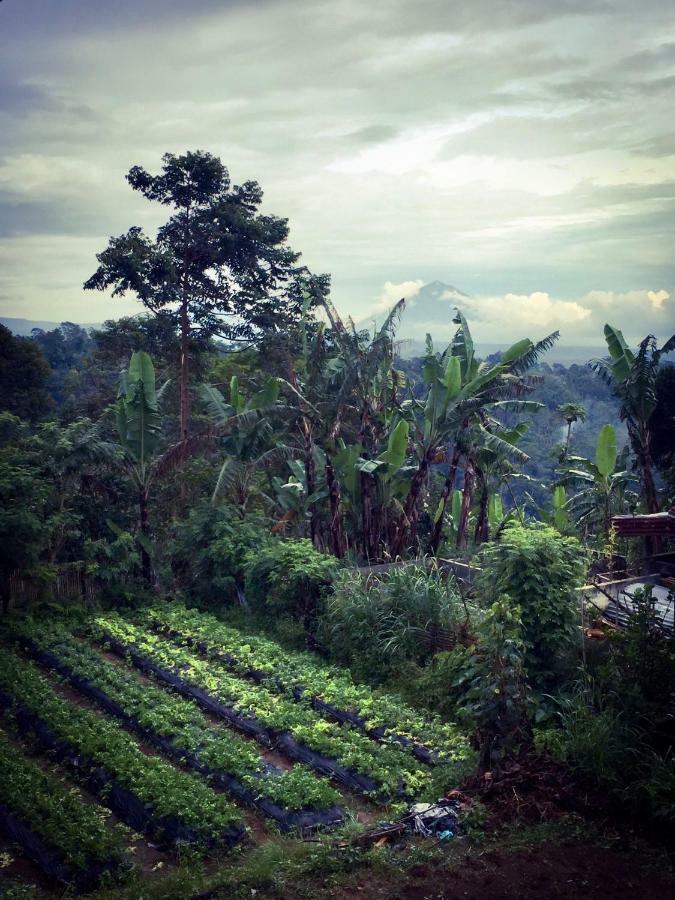 Pondok Plantation Luxury Mountain Escape Bedugul Bedugul  Extérieur photo